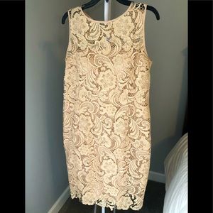 Semi-formal Lace Sheath Dress